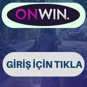 Onwin giriş